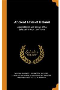 Ancient Laws of Ireland: Uraicect Becc and Certain Other Selected Brehon Law Tracts