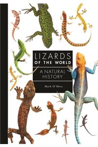 Lizards of the World