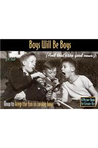 Boys Will Be Boys (and That's the Good News!): How to Keep the Fun in Raising Boys