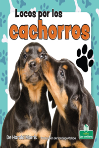 Locos Por Los Cachorros (Crazy about Puppies)