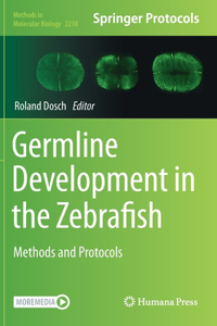 Germline Development in the Zebrafish