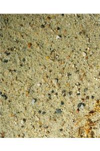 School Composition Book Cement Mixture Photo