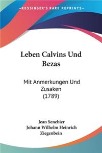Leben Calvins Und Bezas