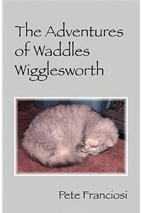 The Adventures of Waddles Wigglesworth