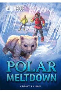 Polar Meltdown