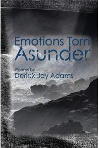 Emotions Torn Asunder