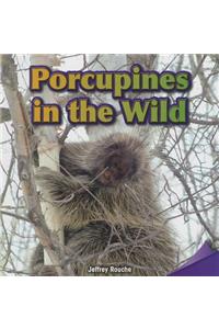 Porcupines in the Wild