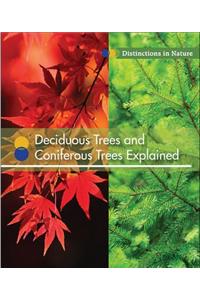 Deciduous Trees and Coniferous Trees Explained