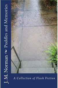 Puddles and Memories