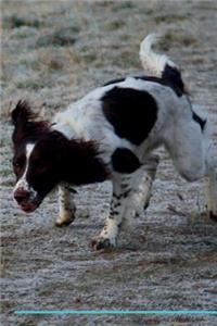 English Springer Spaniel Affirmations Workbook English Springer Spaniel Presents: Positive and Loving Affirmations Workbook. Includes: Mentoring Questions, Guidance, Supporting You.