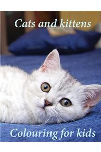 Colouring for Kids Cats and Kittens