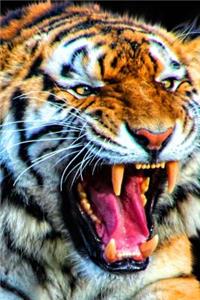 Bengal Tiger Journal