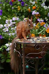 Squirrel in the Garden Journal