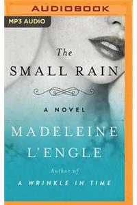 Small Rain