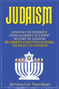 Judaism: Judaism for Dummies! from Dummies to Expert. History of Judaism. Beginners Guide for Learning the Basics of Judaism