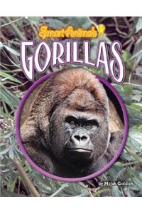 Gorillas