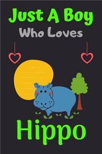 Just A Boy Who Loves Hippo