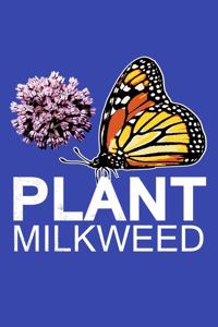 Plant Milkweed