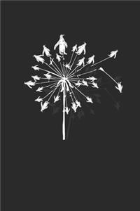 Penguin Dandelion