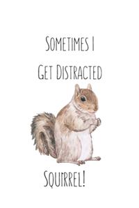 Sometimes I Get Distracted - Squirrel!