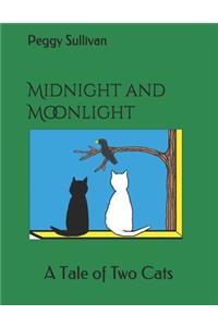Midnight and Moonlight