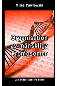 Organisation av mänskliga kromosomer