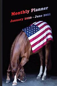 Monthly Planner January 2020 - June 2021