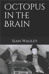 Octopus in the Brain