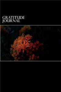 Gratitude Journal