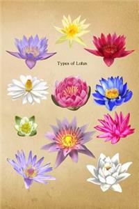 Types of Lotus