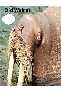 Old Walrus wideruledlinepaper Composition Book