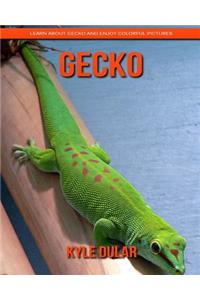 Gecko! Learn about Gecko and Enjoy Colorful Pictures