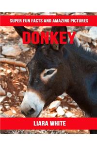 Donkey