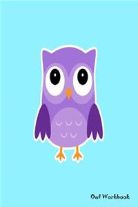 Owl Workbook