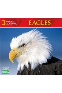 National Geographic Eagles 2019 Calendar