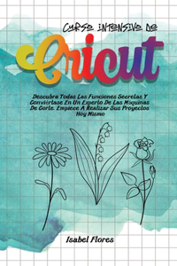 Curso intensivo de Cricut