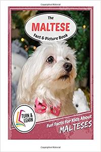 The Maltese Fact and Picture Book: Fun Facts for Kids About Malteses (Turn and Learn)