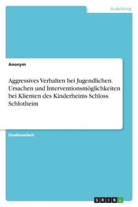 Aggressives Verhalten bei Jugendlichen. Ursachen und Interventionsmöglichkeiten bei Klienten des Kinderheims Schloss Schlotheim