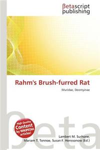 Rahm's Brush-Furred Rat