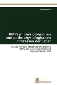 BMPs in physiologischen und pathophysiologischen Prozessen der Leber