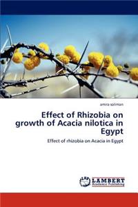 Effect of Rhizobia on Growth of Acacia Nilotica in Egypt
