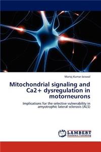 Mitochondrial signaling and Ca2+ dysregulation in motorneurons