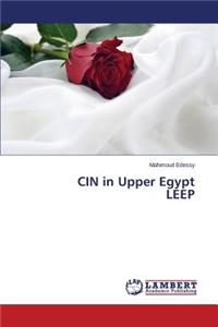 CIN in Upper Egypt LEEP