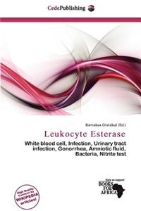 Leukocyte Esterase