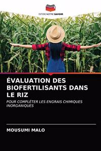 Évaluation Des Biofertilisants Dans Le Riz