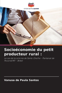 Socioéconomie du petit producteur rural