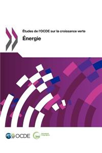 Etudes de L'Ocde Sur La Croissance Verte Energie