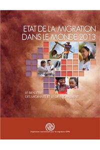 Etat de la migration dans le monde 2013