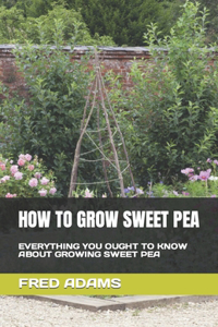 How to Grow Sweet Pea