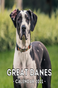 Great Danes